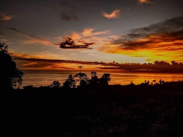 Jungle Of Peace Resort Siquijor Bagian luar foto