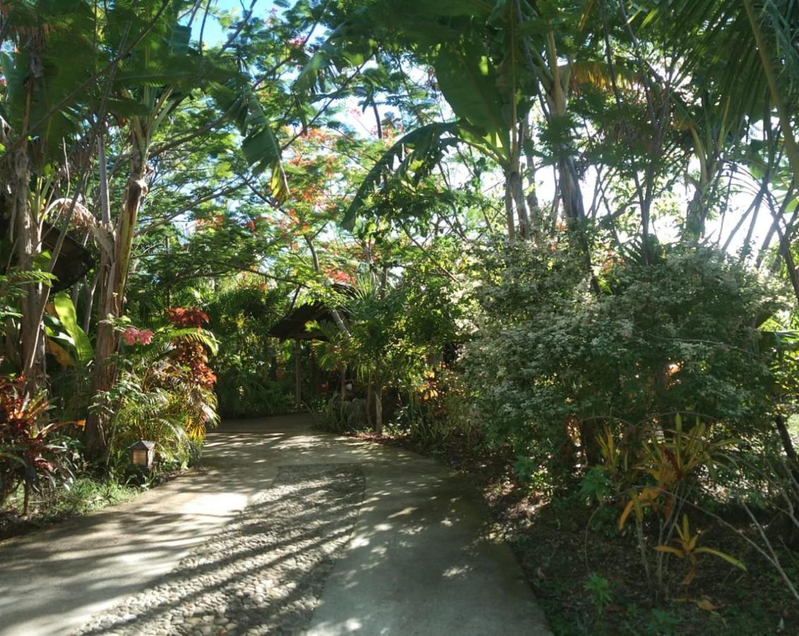Jungle Of Peace Resort Siquijor Bagian luar foto