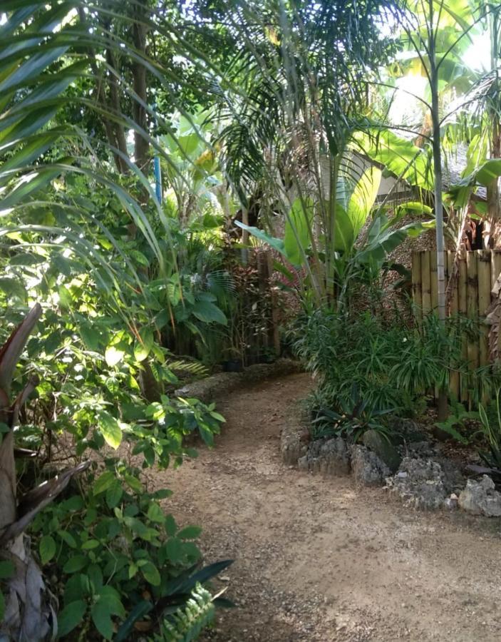 Jungle Of Peace Resort Siquijor Bagian luar foto